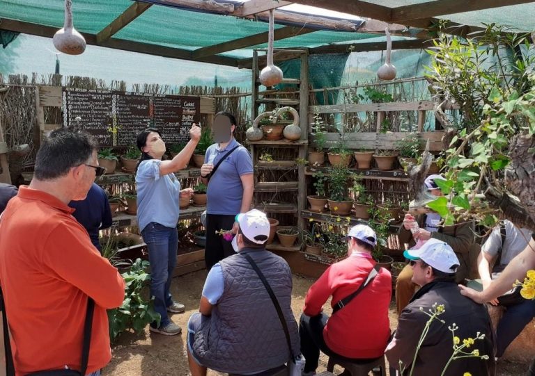 Ηράκλειο: Δράσεις για την Διεθνής Ημέρα Μουσείων