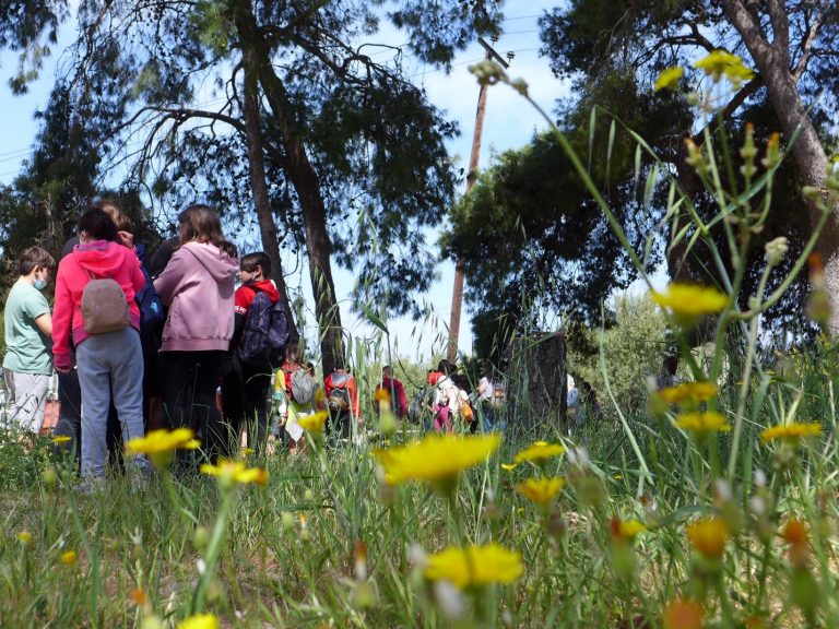 Κρήτη: Οι μικροί μαθητές έμαθαν για την διαδικασία της ρητινοσυλλογής