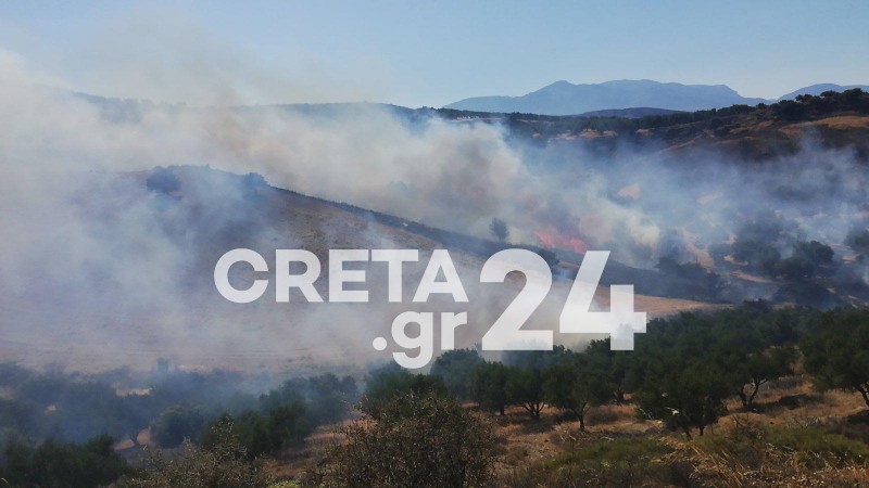 Ηράκλειο: Φωτιά σε αγροτοδασική έκταση – Μεγάλη επιχείρηση της Πυροσβεστικής
