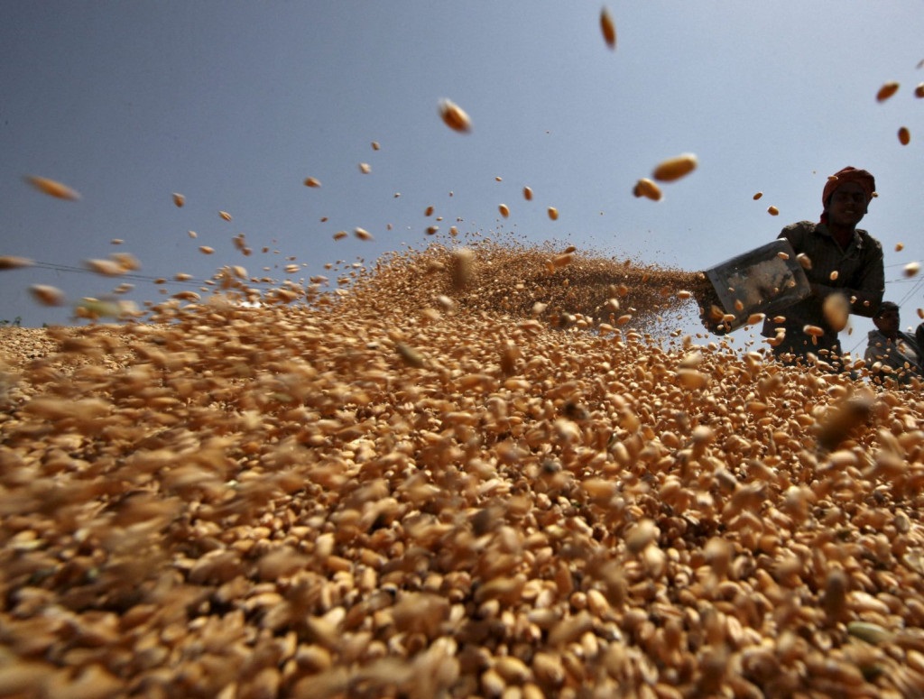 OHE: Πάνω από μισό εκατομμύριο τόνοι σιτηρά έχουν φύγει από Ουκρανία για άλλες χώρες