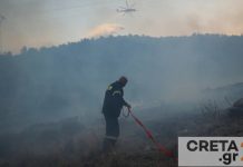 «Στάχτη» 8 στρέμματα δασική έκτασης, Φωτιά στη Βούλα