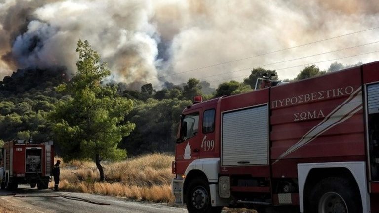 Φωτιά στην Ύδρα – Άμεση κινητοποίηση της πυροσβεστικής