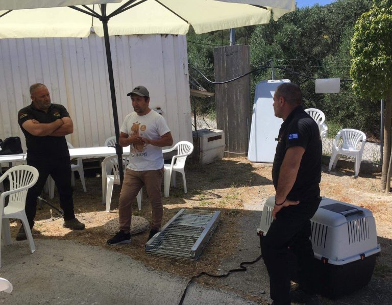 Εκπαιδευτικό σεμινάριο για την ασφαλή προσέγγιση των αδέσποτων ζώων