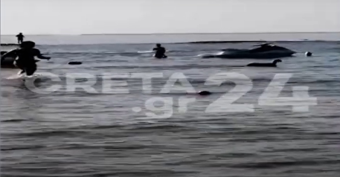 Κρήτη: Έσωσαν πρόβατο που… βούτηξε στη θάλασσα (βίντεο)