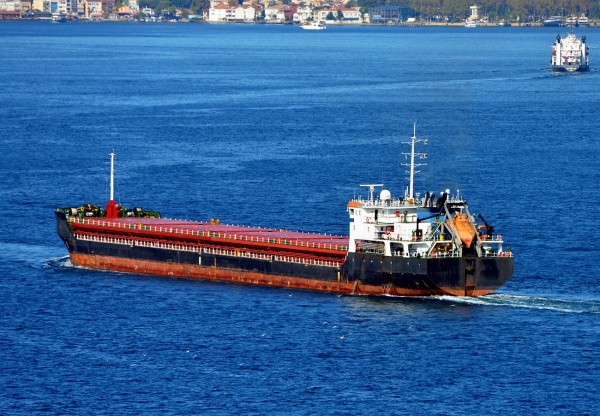 Guardian: Ρωσικό πλοίο που μεταφέρει «κλεμμένα» ουκρανικά σιτηρά κρατείται και ερευνάται από τις τουρκικές αρχές