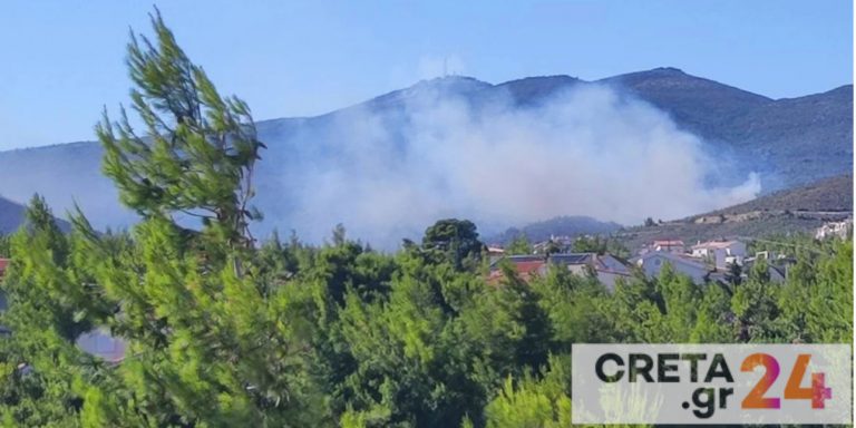 Φωτιά στην Πεντέλη: 420 πυροσβέστες με 85 οχήματα στη μάχη με τα πύρινα μέτωπα