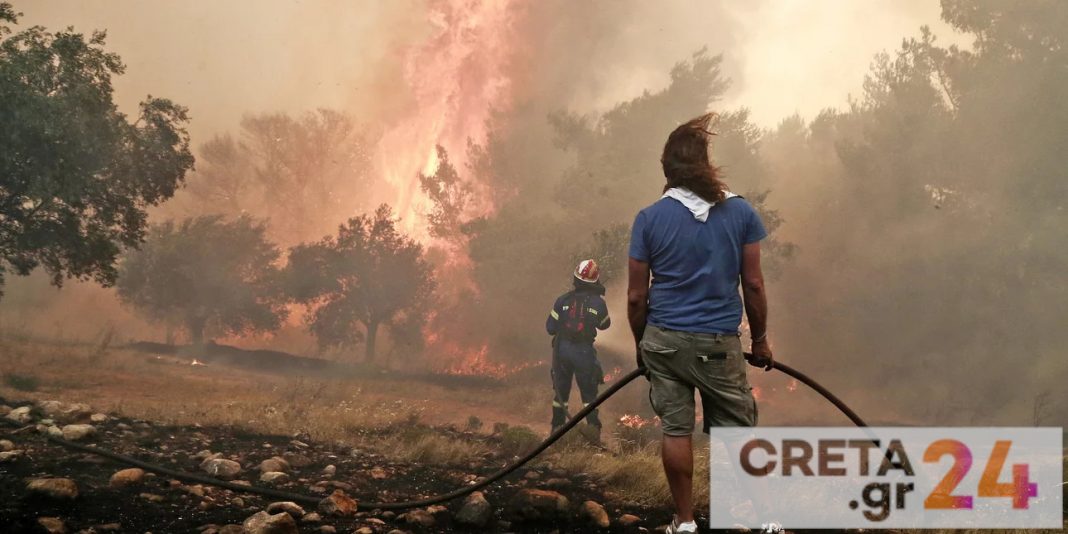 Φωτιά στη Μεσσηνία, Εισαγγελική παρέμβαση για τις πυρκαγιές