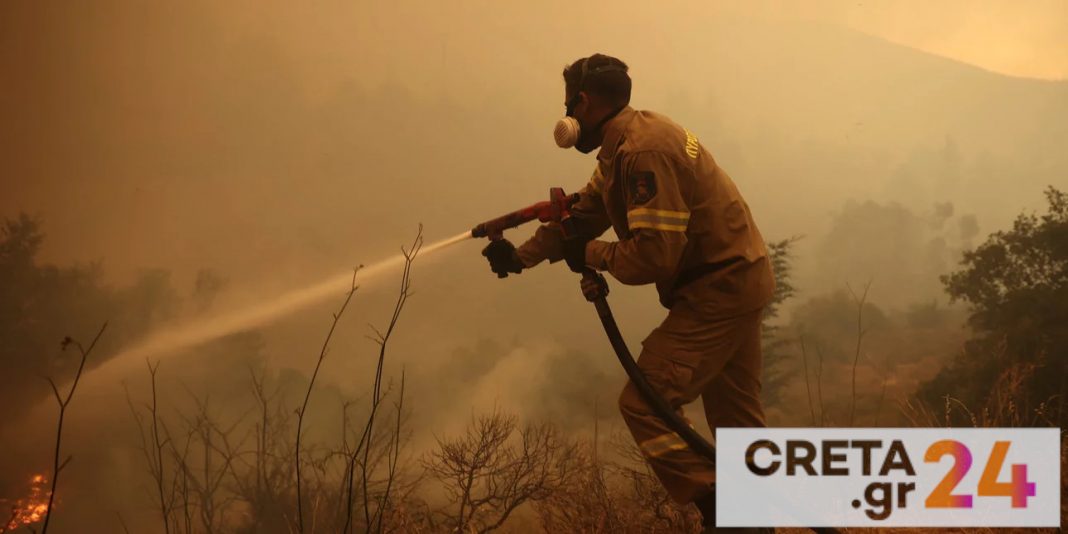 Αυξημένες κατά 50% οι καμένες εκτάσεις, Φωτιές σε Δαδιά, Ηλεία, Λέσβο