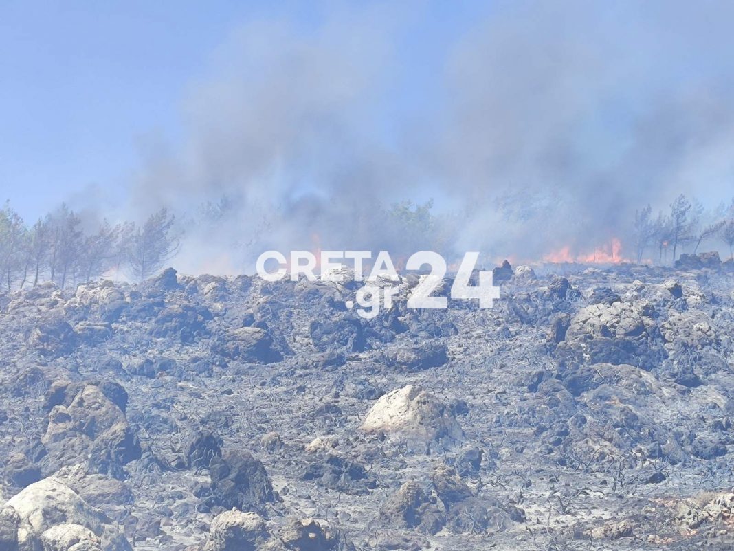 Ηράκλειο: Φωτιά ξέσπασε στο δάσος της Κέρης