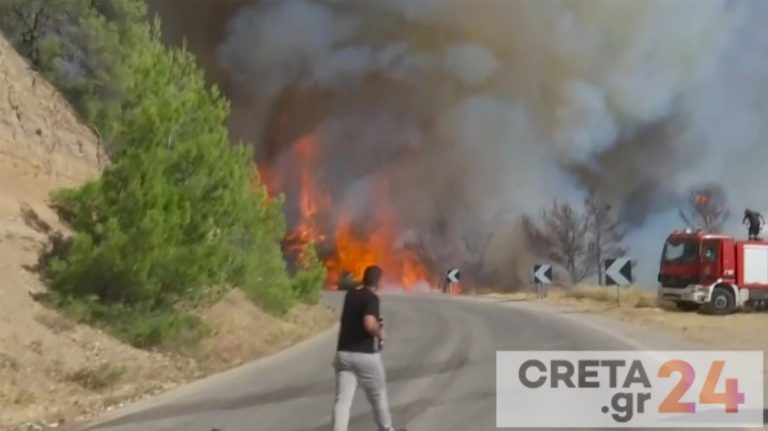 Εισαγγελική παρέμβαση για τις πυρκαγιές σε Πεντέλη και Μέγαρα
