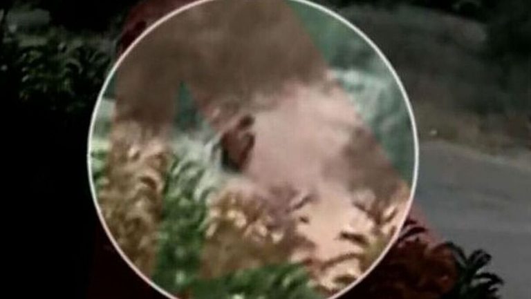 Φωτιά στην Πεντέλη: Ο άνθρωπος που είδε τον εμπρηστή και έσβησε την εστία μιλά για το συμβάν