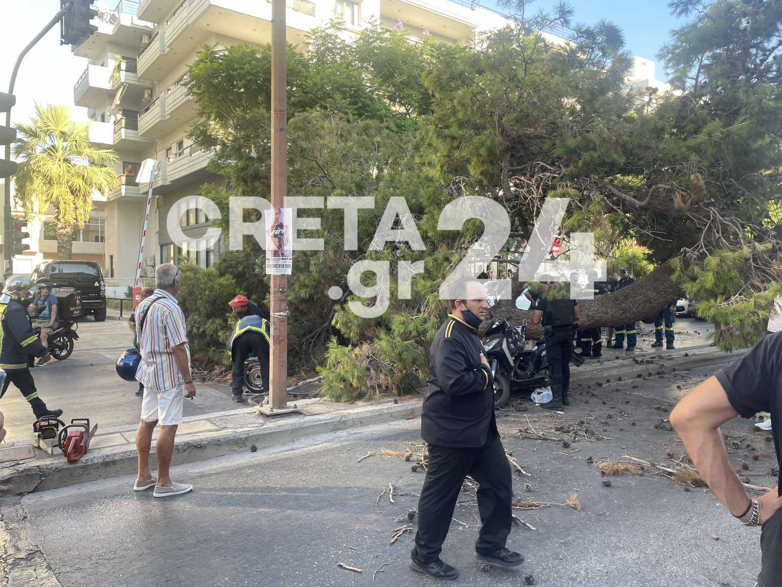 Ηράκλειο: Δέντρο έπεσε στην Λ. Δημοκρατίας – Νεκρός ένας άνδρας (βίντεο)