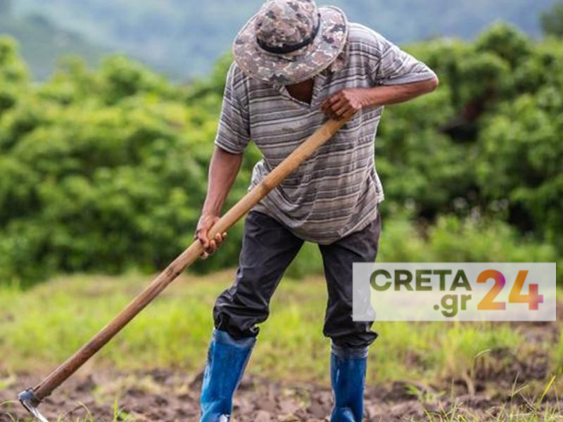 «Καμπανάκι» για τους εργάτες γης – Καθυστερήσεις στις μετακλήσεις, Κρήτη: SOS και για την παραγωγή κηπευτικών λόγω έλλειψης εργατών, Ιεράπετρα: Στα «κάγκελα» οι αγρότες για τους εργάτες γης, νέων δικαιούχων στο Υπομέτρο 6.1 «Εγκατάσταση Νέων Γεωργών», Συμφωνία με την Αίγυπτο για 5.000 εργάτες γης, πρόγραμμα «Εγκατάσταση Νέων Γεωργών», εργάτες γης, μετάκληση πολιτών τρίτων χωρών