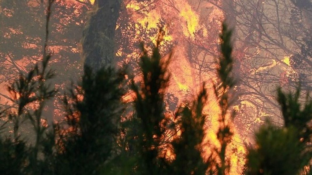 Κίνα: Mαίνονται οι δασικές πυρκαγιές – Ελπίδα οι βροχοπτώσεις που αναμένονται τις επόμενες ημέρες