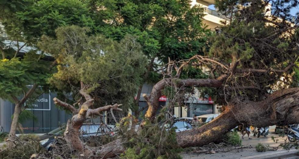 Οι “Πράσινες Ψυχούλες” καμιά φορά σκοτώνουν