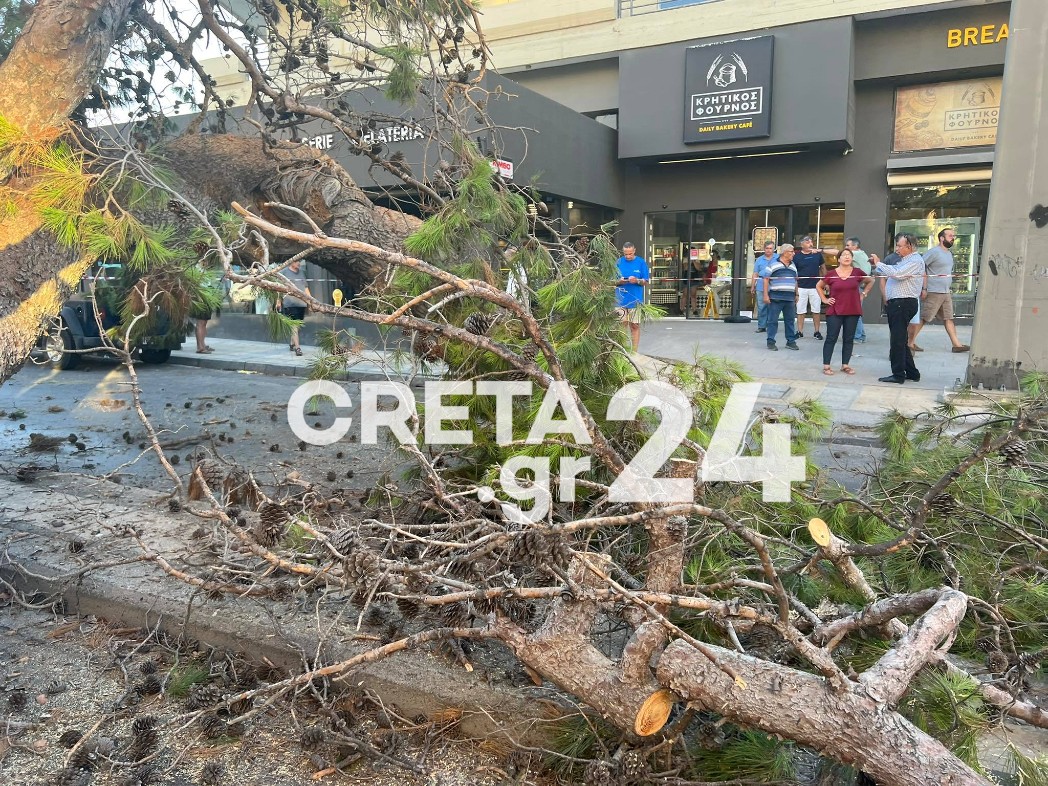 Τραγωδία στο Ηράκλειο: Συγκλονίζει η χήρα του 51χρονου Παναγιώτη