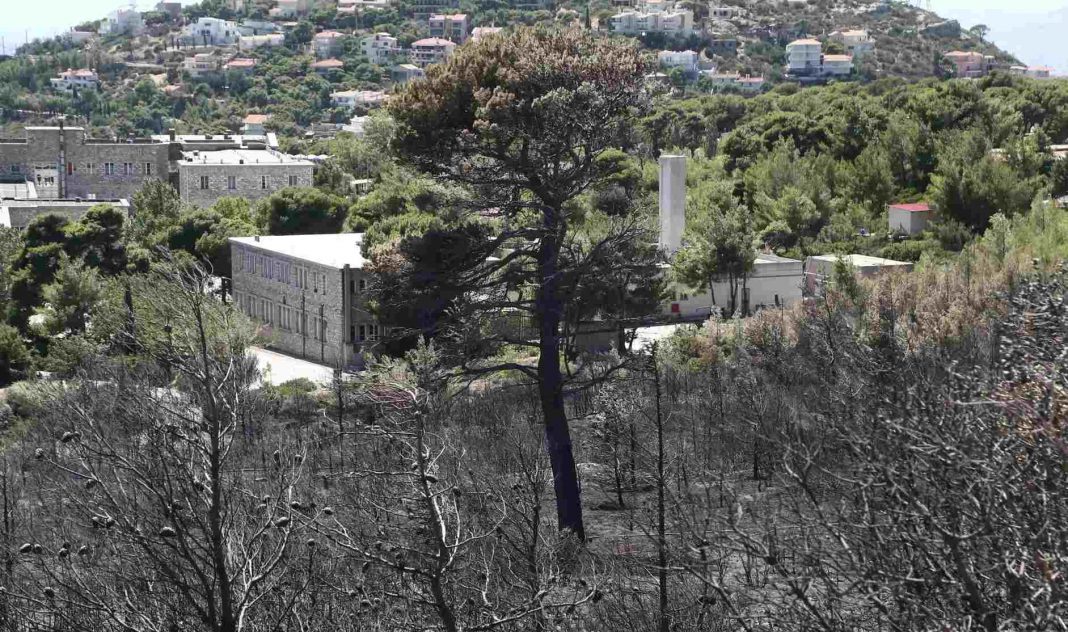 Arogi.gov.gr: Άνοιξε η πλατφόρμα για τους πληγέντες από τη φωτιά στην Πεντέλη – Μέχρι 14.000 ευρώ η αποζημίωση