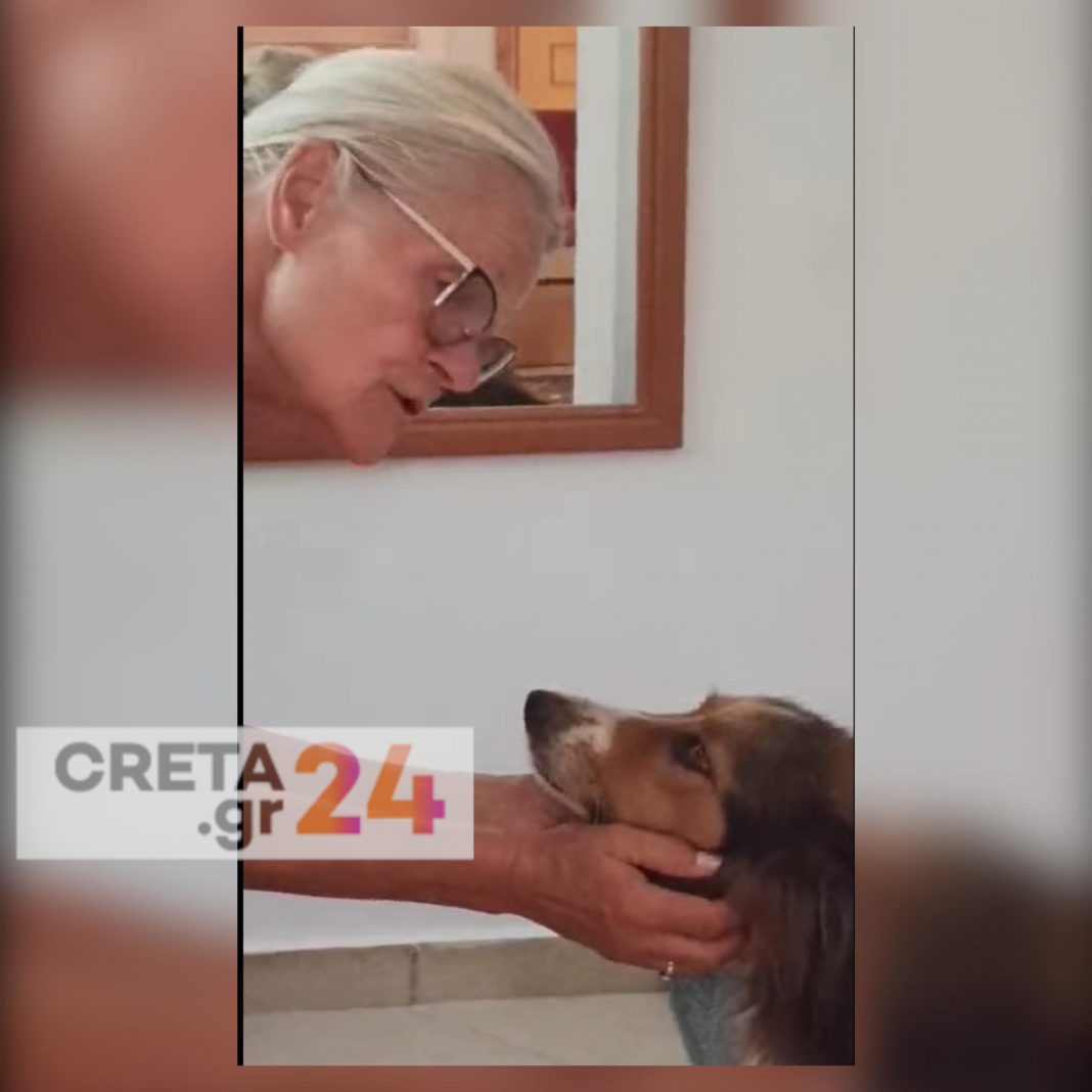 Κρήτη: Βρήκε σπίτι η σκυλίτσα που είχε πυροβοληθεί (βίντεο)