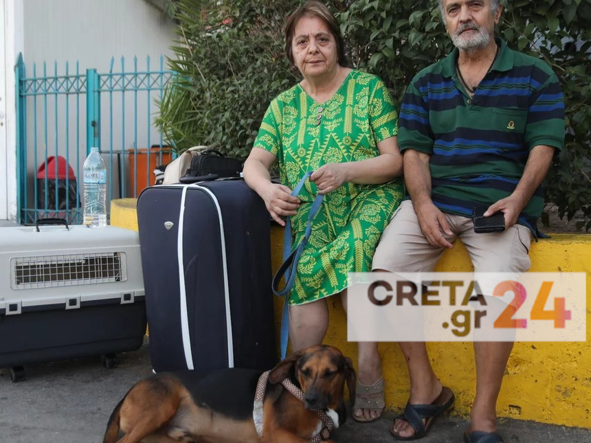 Κρήτη – Ταλαιπωρία για ζευγάρι: Δεν τους δεχόταν κανένα ξενοδοχείο γιατί είχαν σκύλο, πέρασαν το βράδυ στο λιμάνι 