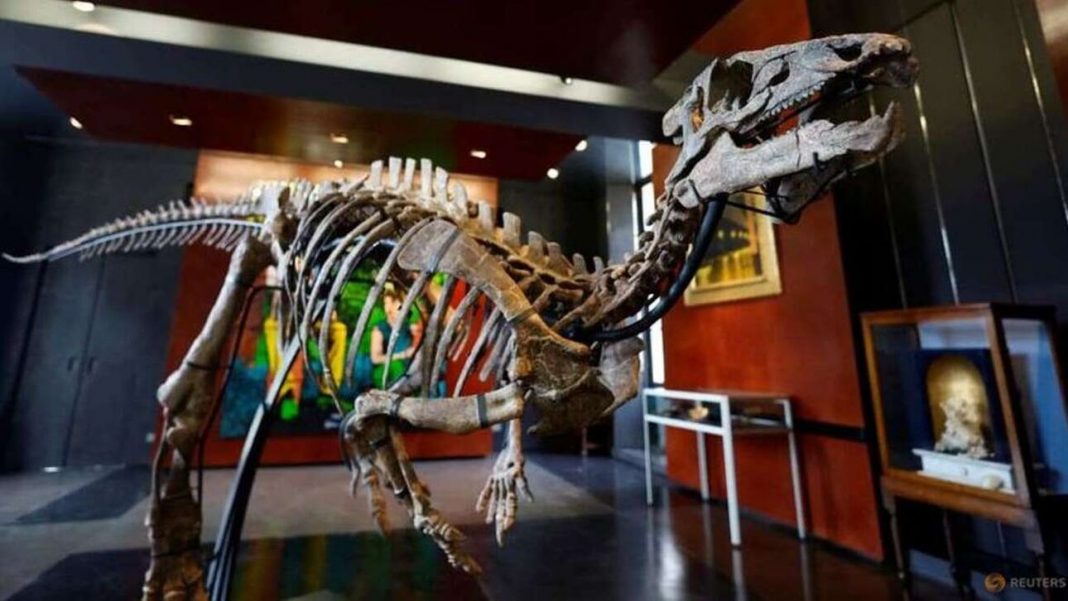 Ένας δεινόσαυρος για… σαλόνι: Δημοπρατείται ο σκελετός του στο Παρίσι – Έχει 3 μέτρα μήκος
