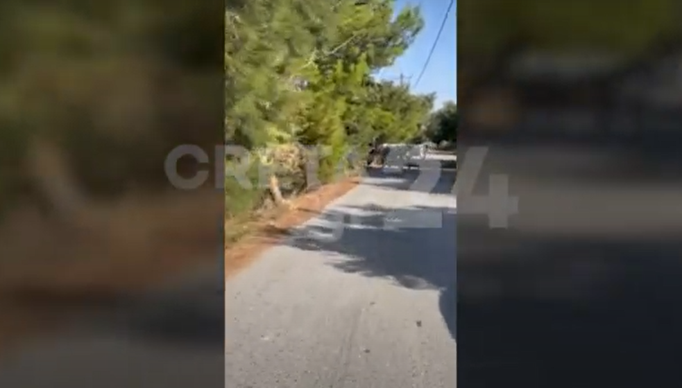 Άλογα τρέχουν ελεύθερα σε δρόμο του Ηρακλείου