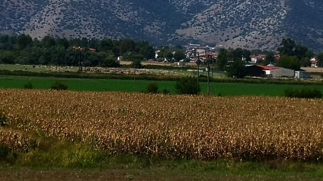 Περιβάλλον: Η κλιματική αλλαγή επιδρά στη βιοποικιλότητα με καθοριστικό τρόπο