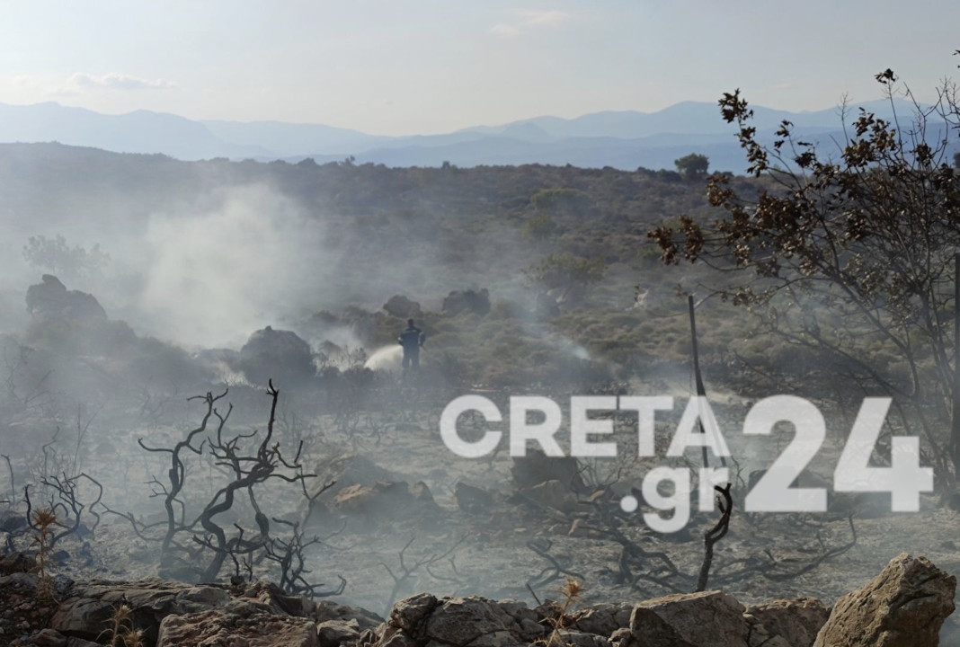 Συναγερμός για νέα πυρκαγιά στο δάσος της Κέρης
