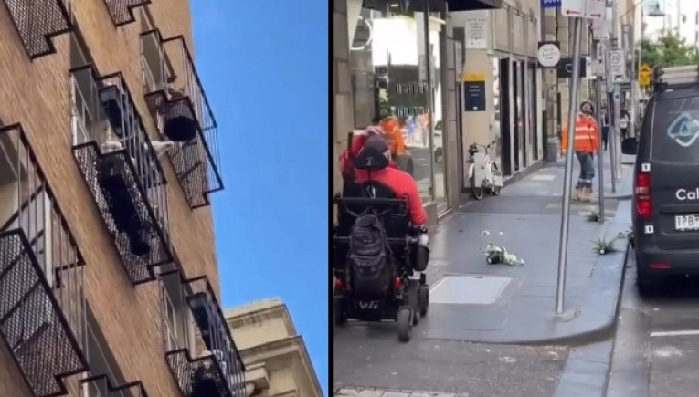 Παπαγάλος σκορπά… τρόμο σε γειτονιά: Πετάει γλάστρες από το μπαλκόνι στους περαστικούς