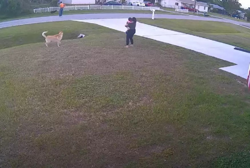 Viral βίντεο: Το λυκόσκυλο της οικογένειας σώζει παιδάκι από επίθεση σκύλου του γείτονα