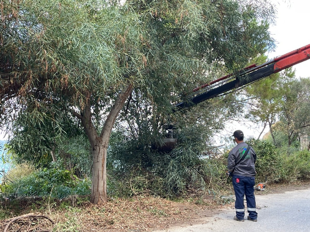 92 τόνοι απορριμμάτων απομακρύνθηκαν από την περιοχή του Κουμπελή