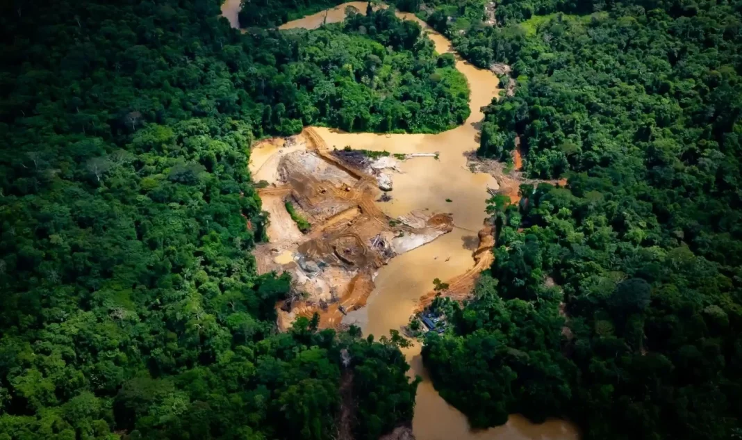 Βραζιλία: Χρυσοθήρες χάραξαν παράνομο δρόμο στον Αμαζόνιο με εκσκαφείς