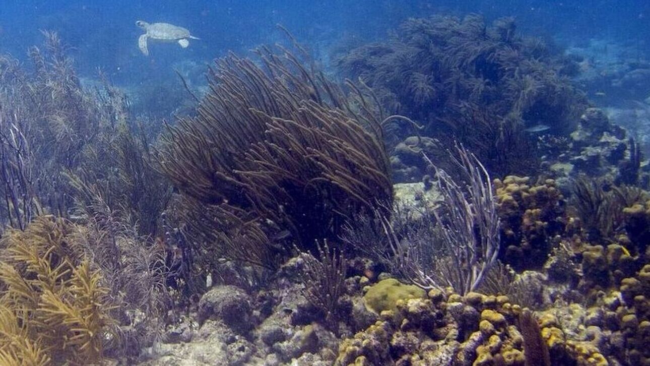 Βρετανική έρευνα: Λίγες οι εταιρίες που παίρνουν μέτρα για το περιβάλλον