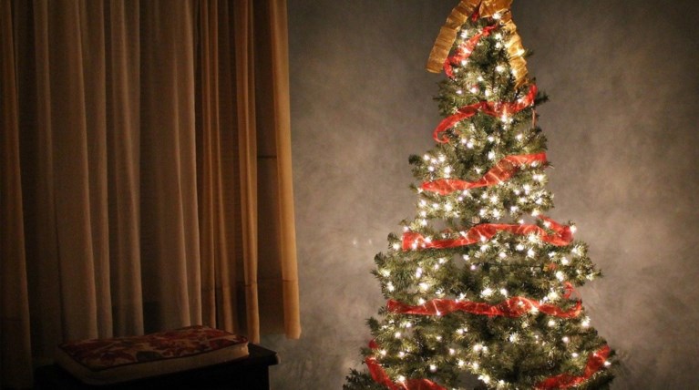 Εκδηλώσεις φωτοδότησης Χριστουγεννιάτικων δέντρων την Κυριακή στα Χανιά