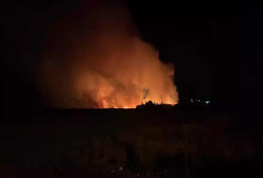 Καίγεται ο μεγαλύτερος υδροβιότοπος της Εύβοιας: Μεγάλη οικολογική καταστροφή – Συναγερμός στην Πυροσβεστική