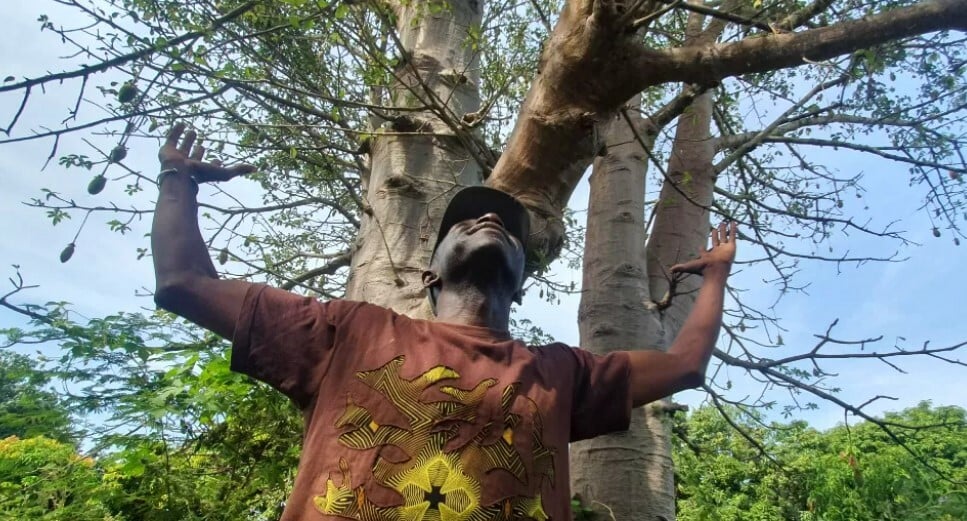 Ο άνδρας που θέλει να φυτέψει 5 εκατ. δέντρα μέσα στα επόμενα πέντε χρόνια