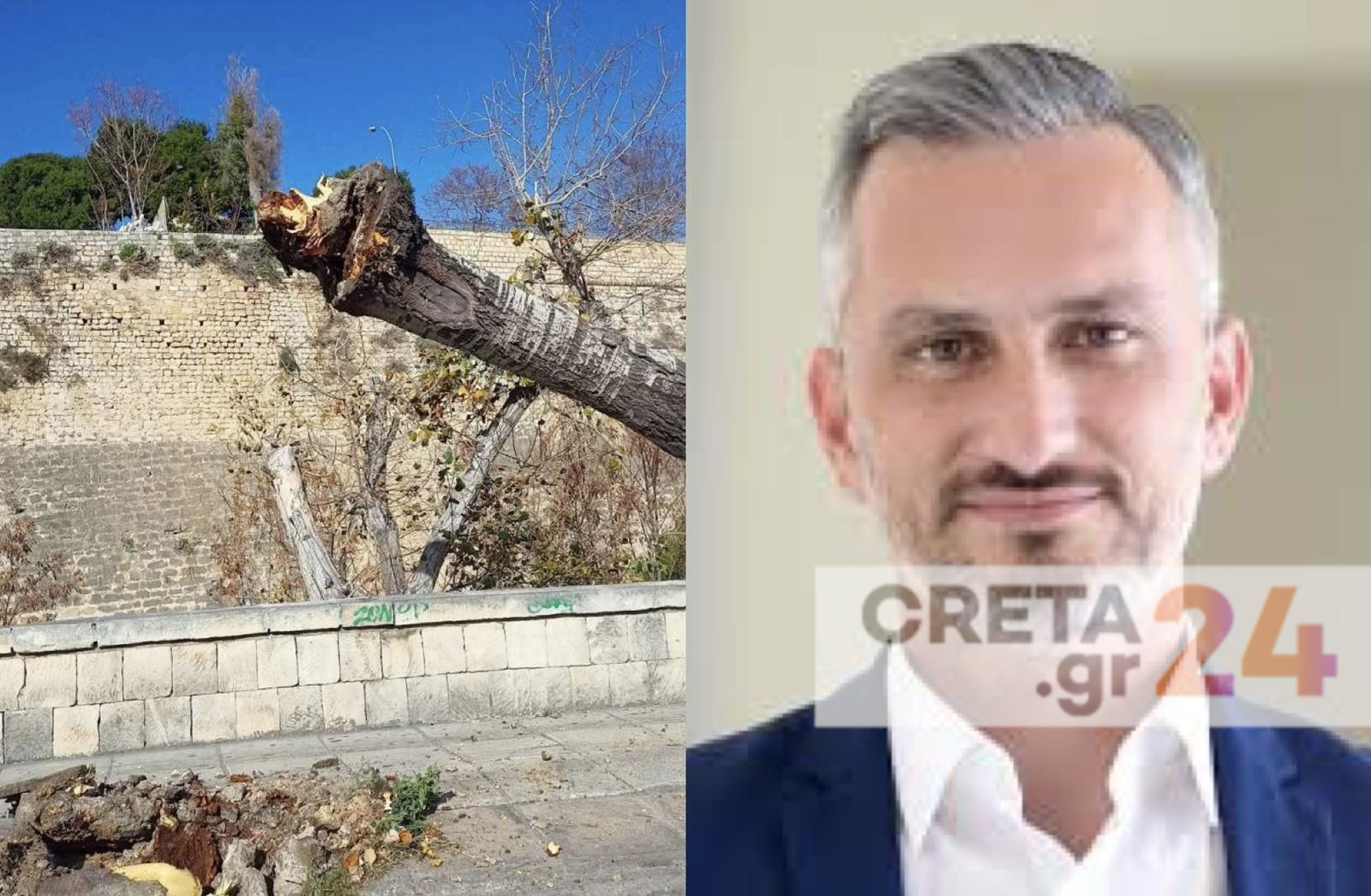Πτώση δέντρου: Απουσιάζει και «νίπτει τας χείρας του» ο Γιάννης Αναστασάκης