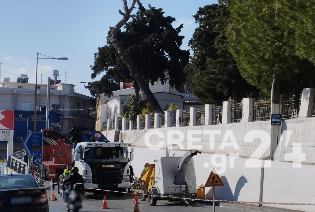 Ηράκλειο: Απομακρύνονται τα επικίνδυνα δέντρα στον Άγιο Κωνσταντίνο - Κυκλοφοριακές ρυθμίσεις