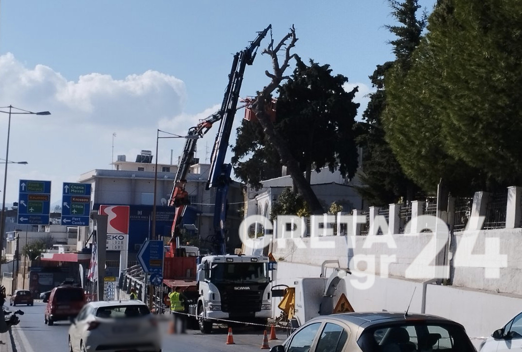 Ηράκλειο: «Παγώνουν» οι κοπές δένδρων και στο Κοιμητήριο Αγίου Κωνσταντίνου