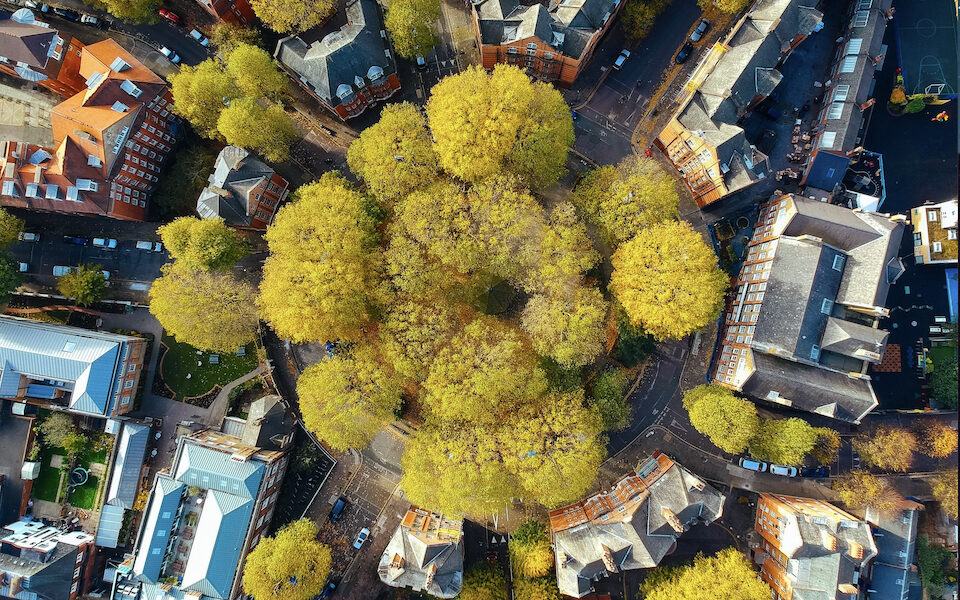 Έρευνα: Περισσότερα δέντρα στις πόλεις της Ευρώπης θα σώσουν χιλιάδες ζωές