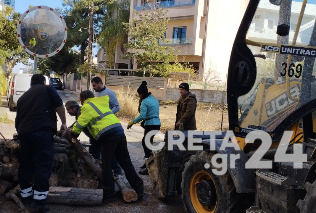 Ηράκλειο: Απομακρύνθηκε ακόμη ένα επικίνδυνο δέντρο