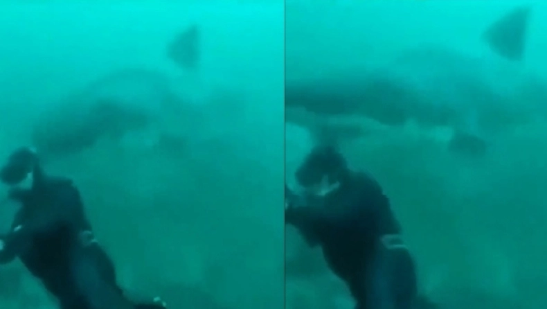 Η τρομακτική στιγμή που καρχαρίας περνάει πάνω από το κεφάλι ενός δύτη