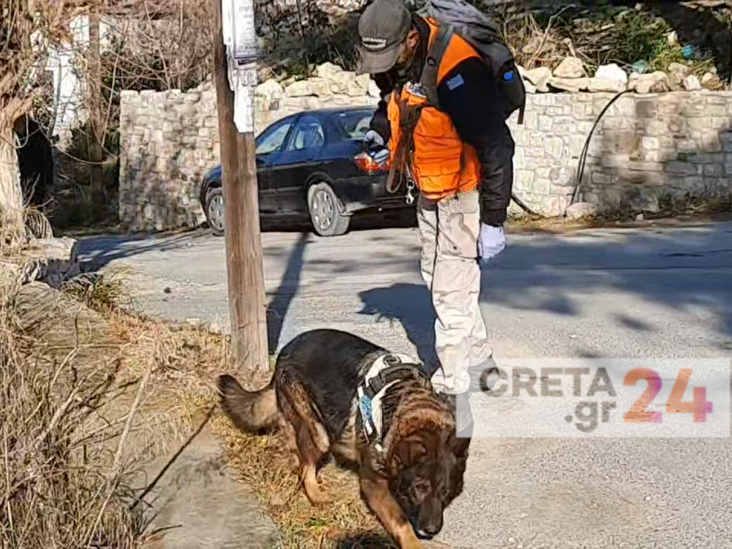 Αγανακτισμένοι οι κάτοικοι σε χωριό του Ηρακλείου: Εκπαιδευμένο λυκόσκυλο αναζητά φόλες (βίντεο)