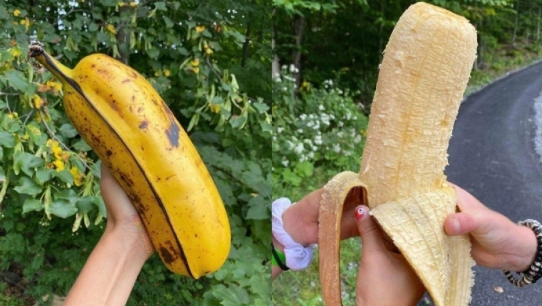 Η μεγαλύτερη μπανάνα στο κόσμο που έχει ταρακουνήσει το διαδίκτυο