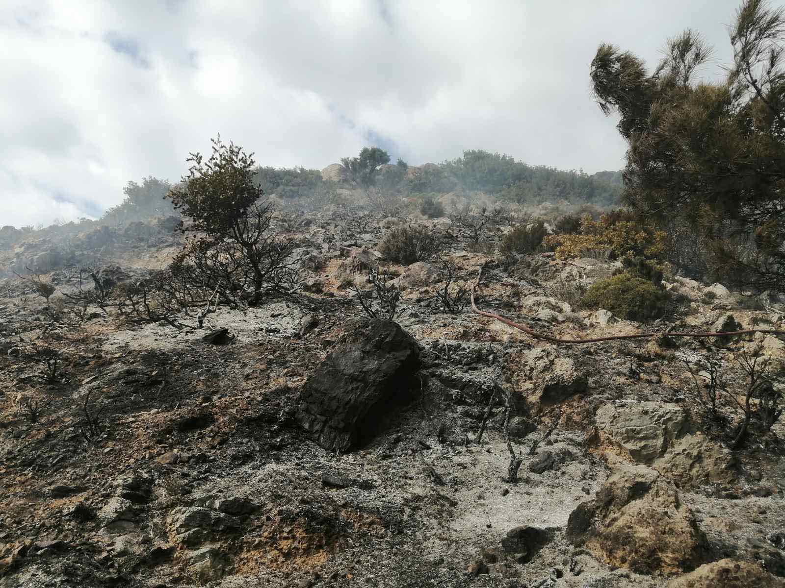 Κρήτη: Μια σύλληψη για την φωτιά που κινητοποίησε την Πυροσβεστική