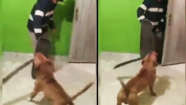 Απίστευτο περιστατικό: Σκύλος επιτέθηκε στον ιδιοκτήτη του με ματσέτα