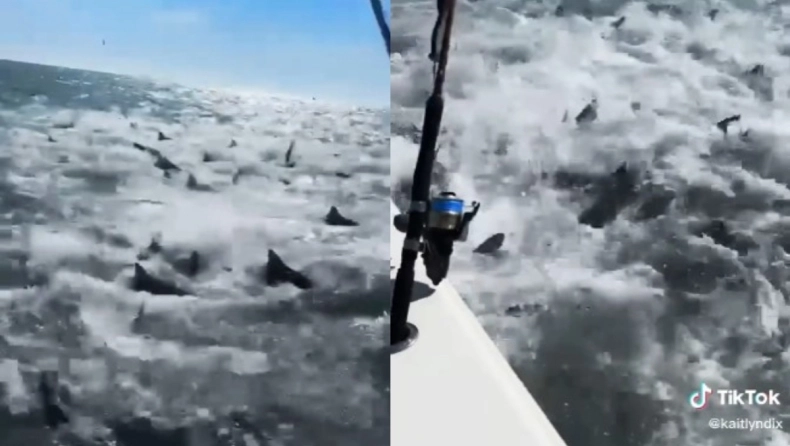 Η τρομακτική στιγμή που αλιευτικό σκάφος περικυκλώνεται από εκατοντάδες καρχαρίες