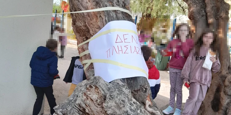 Γάζι: Ανατίναξαν δέντρο στην… αυλή δημοτικού σχολείου - Τεράστιος κίνδυνος για τους μικρούς μαθητές
