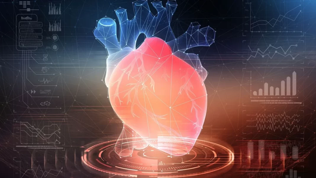 Πόσο στρογγυλή είναι η καρδιά σας; Οι ειδικοί βρήκαν νέο τρόπο εκτίμησης του καρδιακού κινδύνου