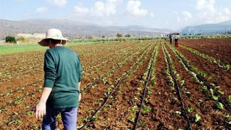 Xανιά: Έως τις 31 Μαΐου οι αιτήσεις για το επιδοτούμενο πρόγραμμα αγροτικού εξηλεκτρισμού