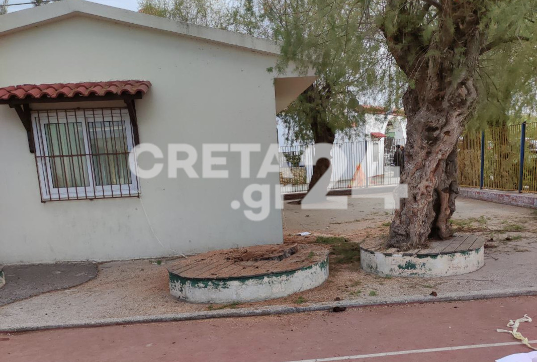 Γάζι: Απομακρύνθηκε το επικίνδυνο δέντρο από το σχολείο μετά τις αντιδράσεις